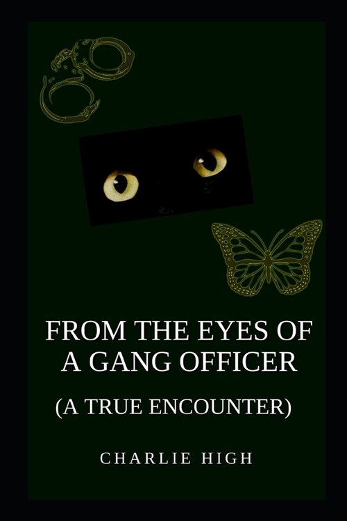 From the Eyes of a Gang Officer (Paperback)