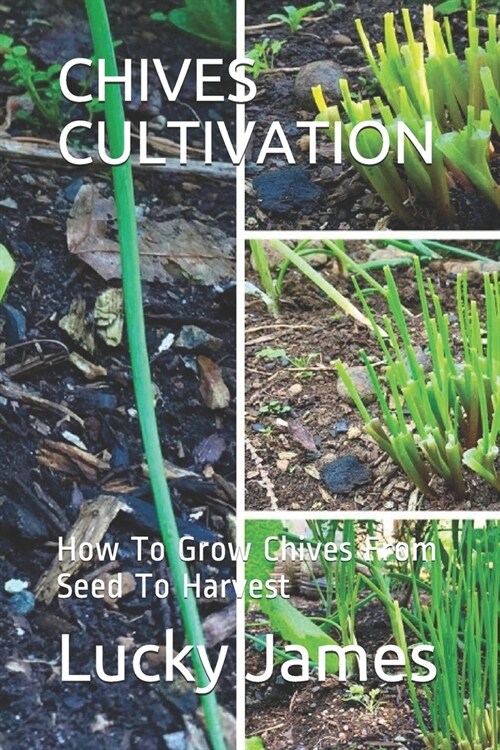 Chives Cultivation: How To Grow Chives From Seed To Harvest (Paperback)