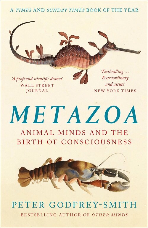 Metazoa : Animal Minds and the Birth of Consciousness (Paperback)