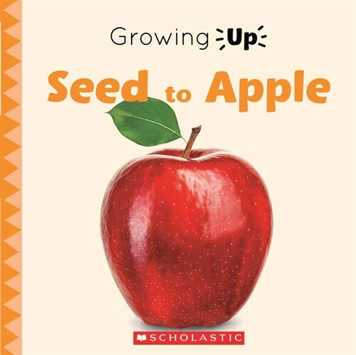 Seed to Apple (Growing Up) (Hardcover, Library)