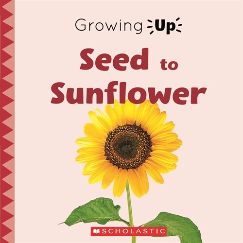 Seed to Sunflower (Growing Up) (Hardcover, Library)