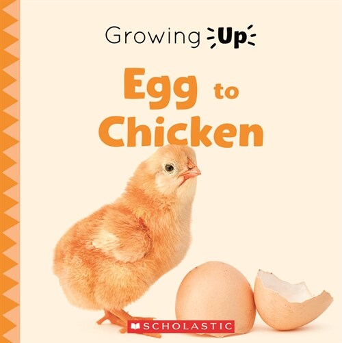 Egg to Chicken (Growing Up) (Paperback) (Paperback)
