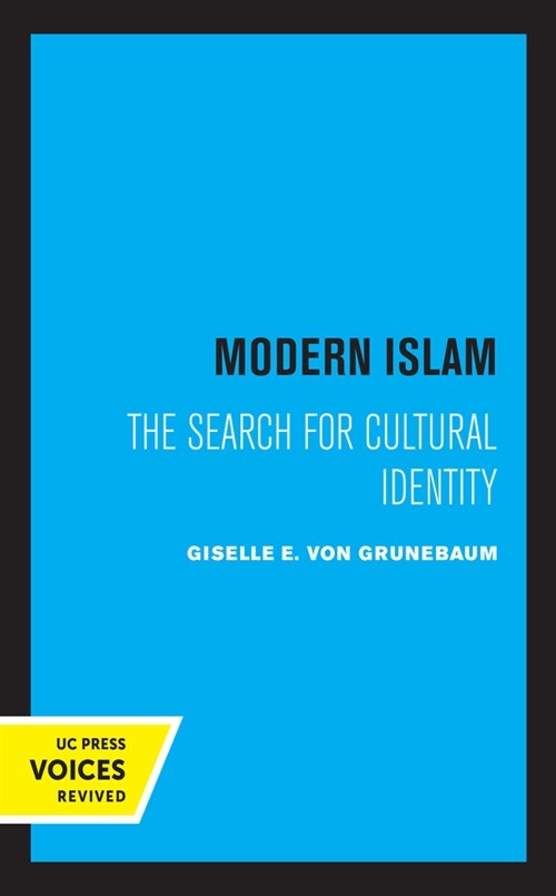 Modern Islam: The Search for Cultural Identity (Hardcover)