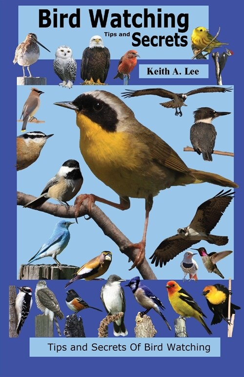 Bird Watching Tips and Secrets (Paperback)