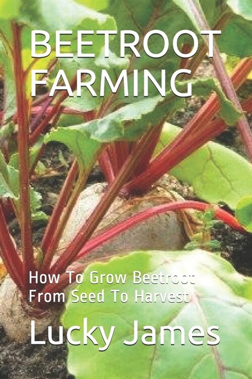 Beetroot Farming: How To Grow Beetroot From Seed To Harvest (Paperback)