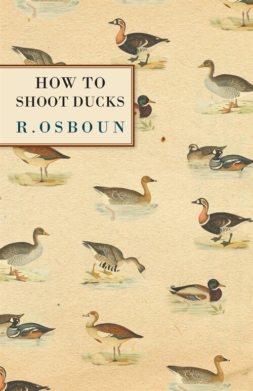 How to Shoot Ducks (Paperback)