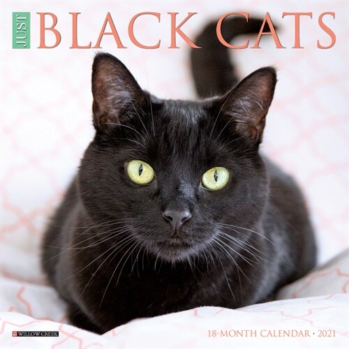 Just Black Cats 2021 Mini Wall Calendar (Mini)