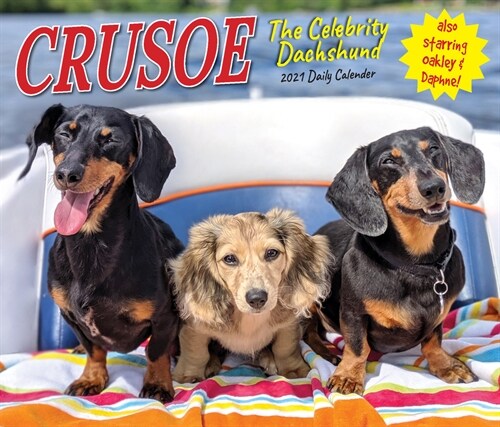 Crusoe the Celebrity Dachshund 2021 Box Calendar (Dog Breed Calendar) (Daily)
