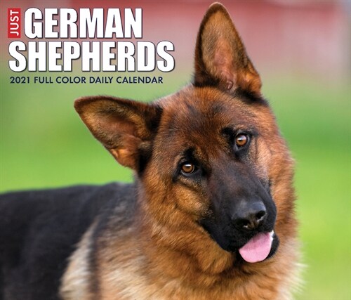 Just German Shepherds 2021 Box Calendar (Dog Breed Calendar) (Daily)