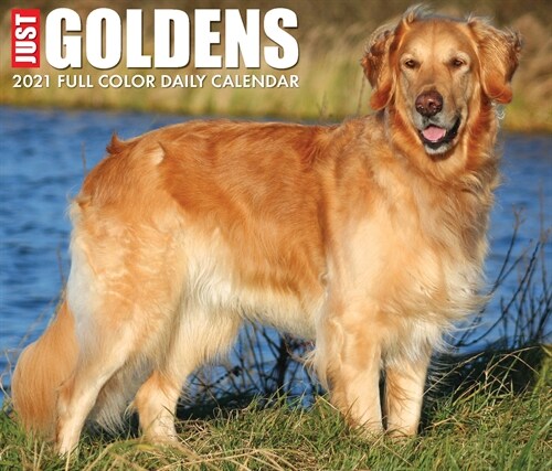 Just Goldens 2021 Box Calendar (Dog Breed Calendar) (Daily)