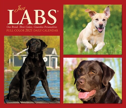 Just Labs 2021 Box Calendar (Dog Breed Calendar) (Daily)