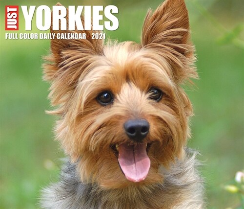 Just Yorkies 2021 Box Calendar (Dog Breed Calendar) (Daily)