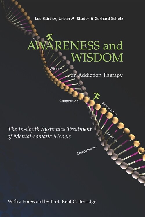 Awareness and Wisdom in Addiction Therapy: The In-Depth Systemics Treatment of Mental-somatic Models (Paperback)