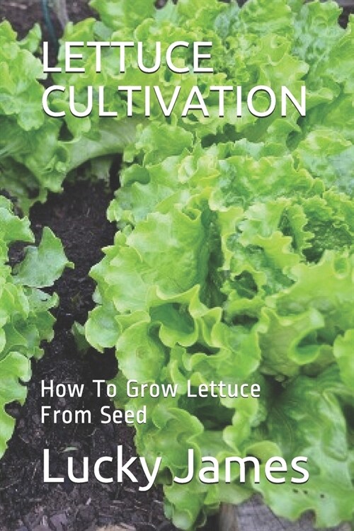 Lettuce Cultivation: How To Grow Lettuce From Seed (Paperback)