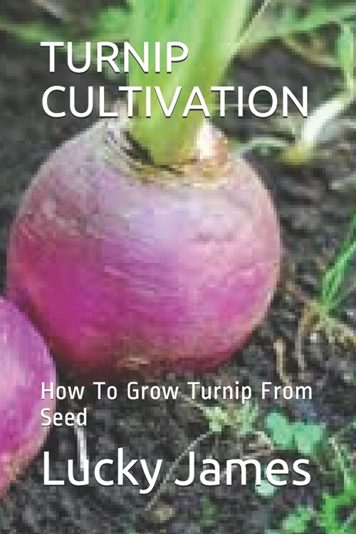 Turnip Cultivation: How To Grow Turnip From Seed (Paperback)