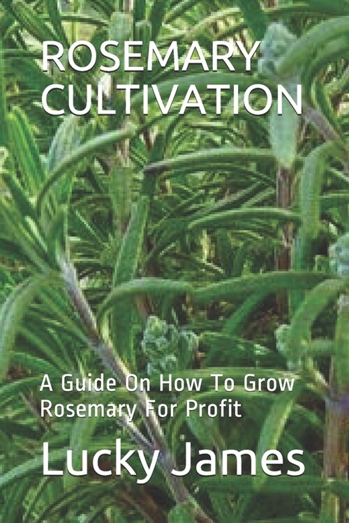 Rosemary Cultivation: A Guide On How To Grow Rosemary For Profit (Paperback)