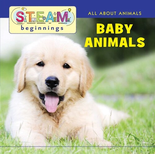 Baby Animals (Board Books)