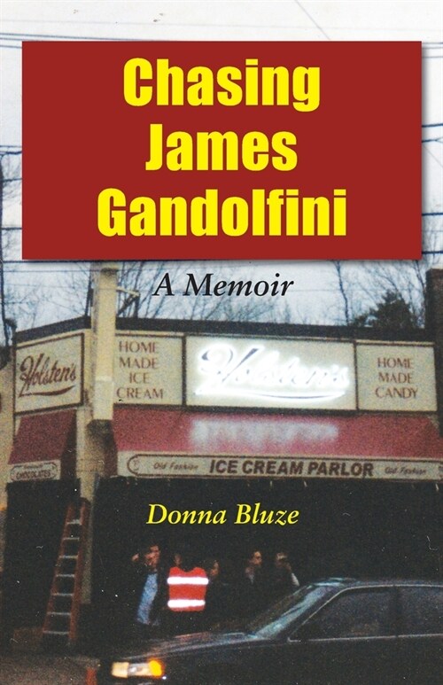 Chasing James Gandolfini: A Memoir (Paperback)