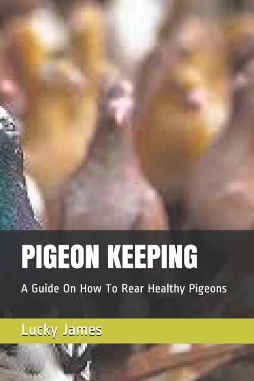 Pigeon Keeping: A Guide On How To Rear Healthy Pigeons (Paperback)