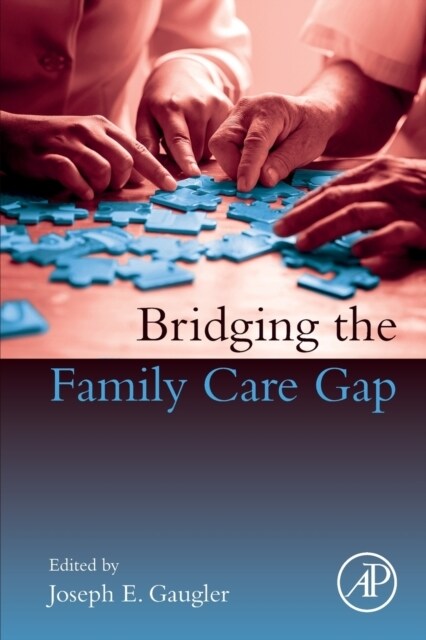 Bridging the Family Care Gap (Paperback)