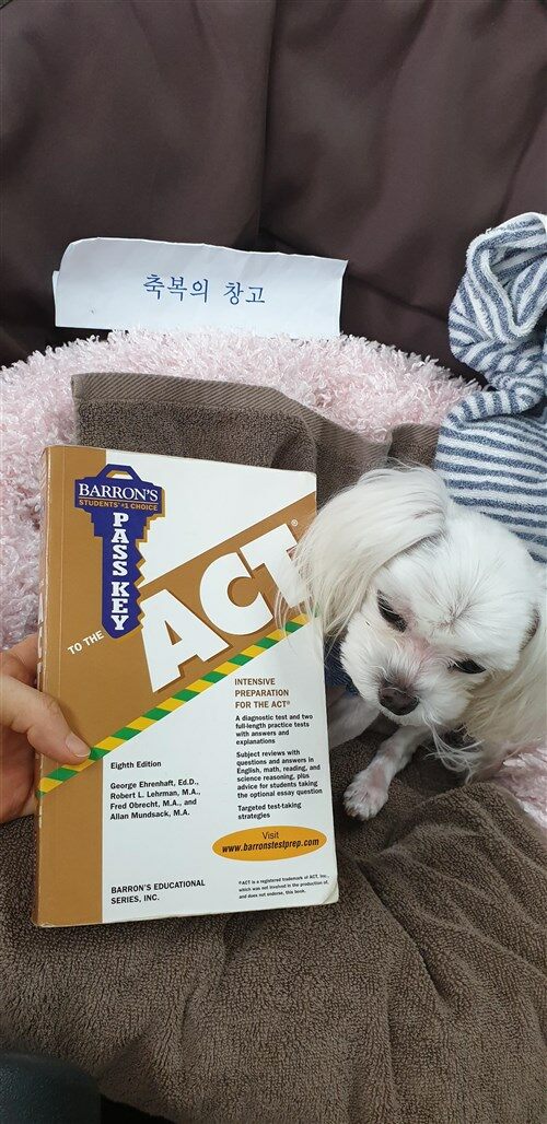 [중고] Barron‘s Pass Key to the ACT (Paperback, 8th)