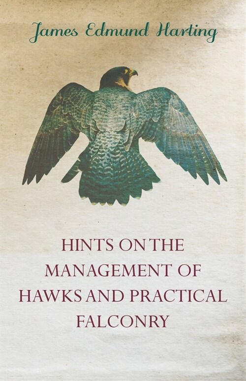 Hints on the Management of Hawks and Practical Falconry (Paperback)