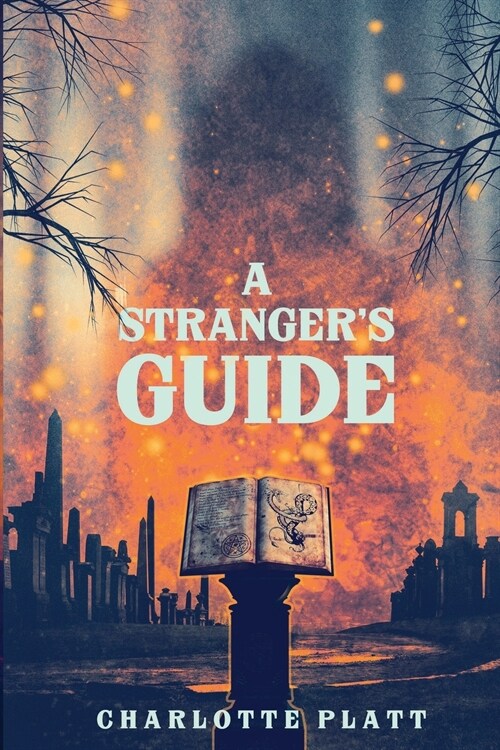 A Strangers Guide (Paperback)