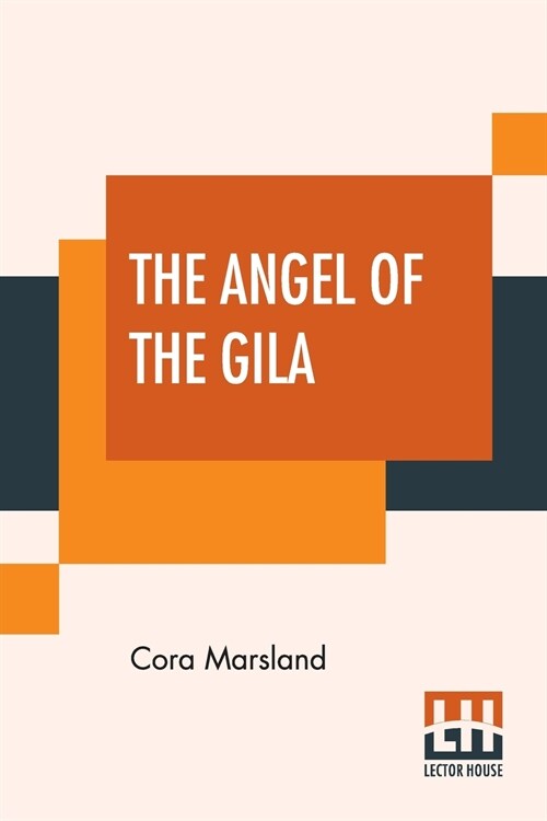 The Angel Of The Gila: A Tale Of Arizona (Paperback)