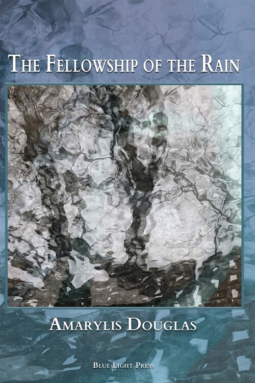 The Fellowship of the Rain (Paperback)