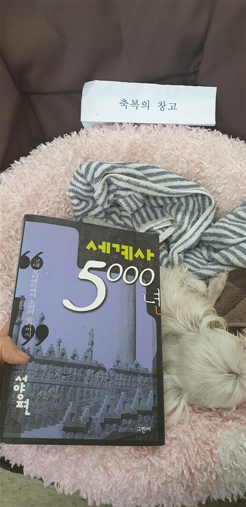 [중고] 세계사 5000년