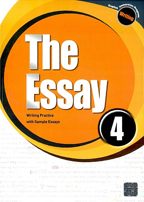 The Essay 4