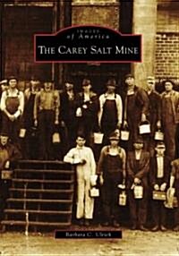 The Carey Salt Mine (Paperback)