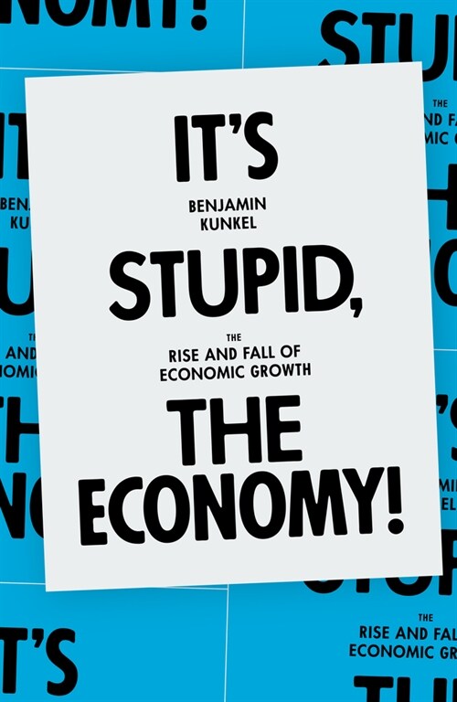 Its Stupid, the Economy!: The Rise and Fall of Economic Growth (Paperback)