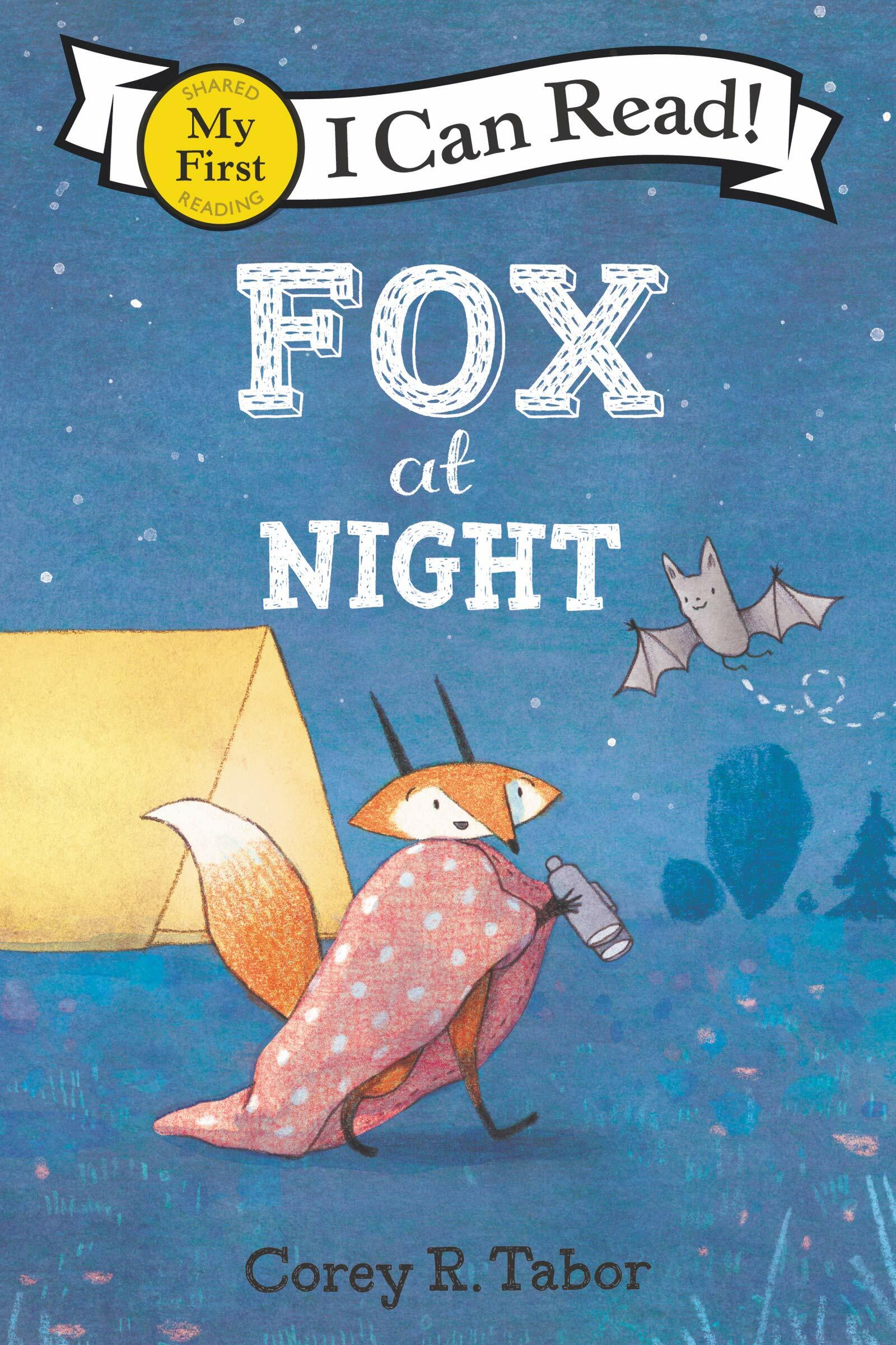Fox at Night (Paperback)