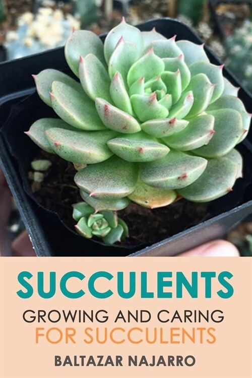 Succulents: Growing and Caring for Succulents (Paperback)