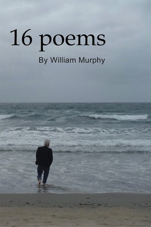 16 Poems (Paperback)