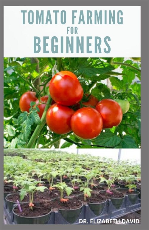 Tomato Farming for Beginners: Beginners Guide To Growing Tomatoes: Easy Step By Step Guide From Seed To Harvest (Paperback)