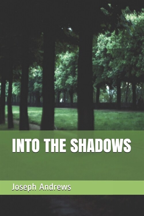 Into the Shadows (Paperback)