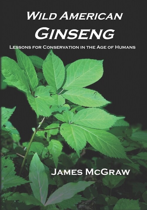 Wild American Ginseng: Lessons for Conservation in the Age of Humans (Paperback)