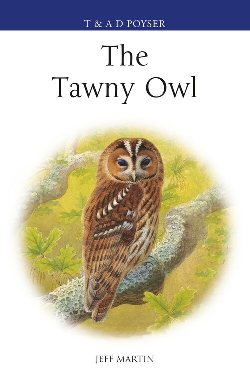 The Tawny Owl (Paperback)