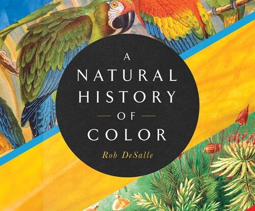A Natural History of Color: The Science Behind What We See and How We See It (Audio CD)