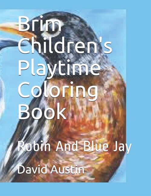 Brim Childrens Playtime Coloring Book: Robin And Blue Jay (Paperback)