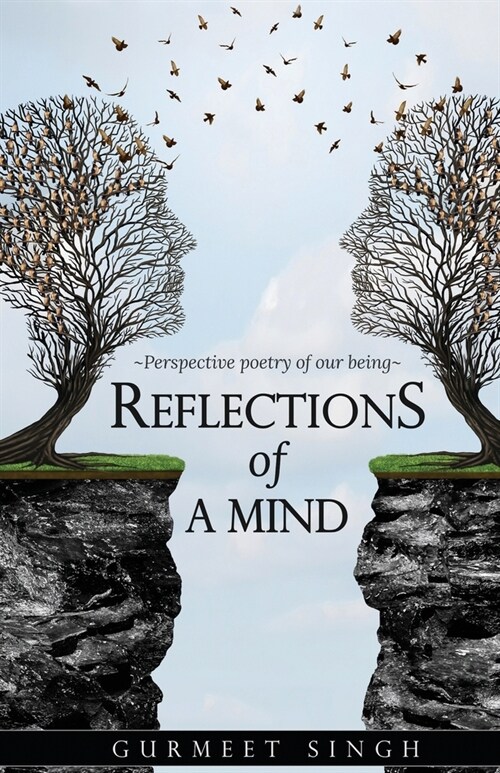 Reflections of a Mind: Perspective Poetry of Our Being (Paperback)