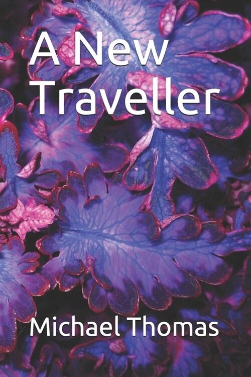 A New Traveller (Paperback)