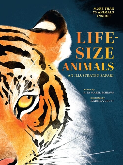 Life-Size Animals: An Illustrated Safari (Hardcover)
