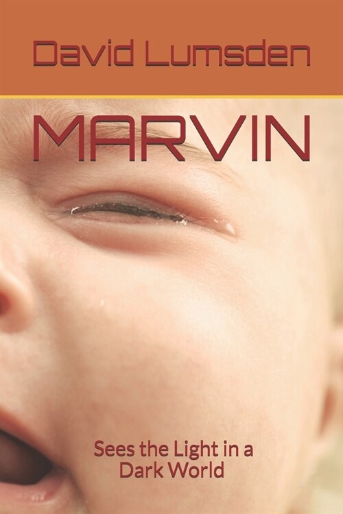 Marvin: Sees the Light in a Dark World (Paperback)