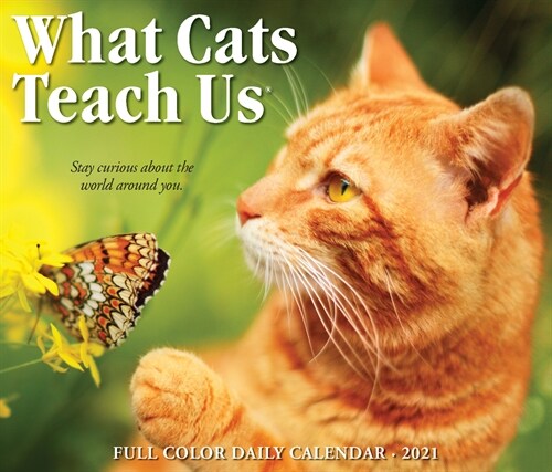 What Cats Teach Us 2021 Box Calendar (Daily)
