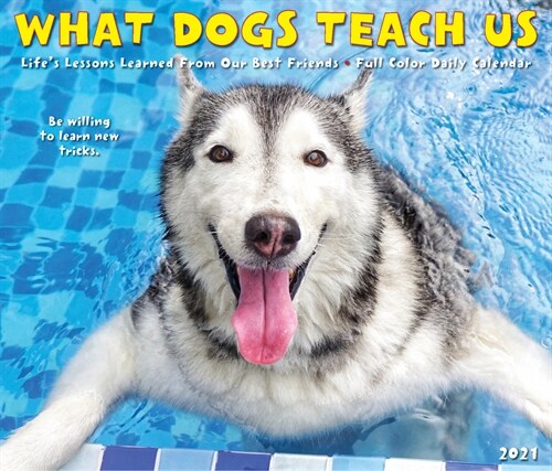 What Dogs Teach Us 2021 Box Calendar (Daily)