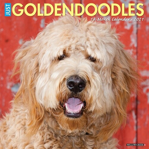 Just Goldendoodles 2021 Wall Calendar (Dog Breed Calendar) (Wall)