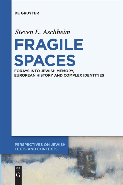 Fragile Spaces: Forays Into Jewish Memory, European History and Complex Identities (Paperback)